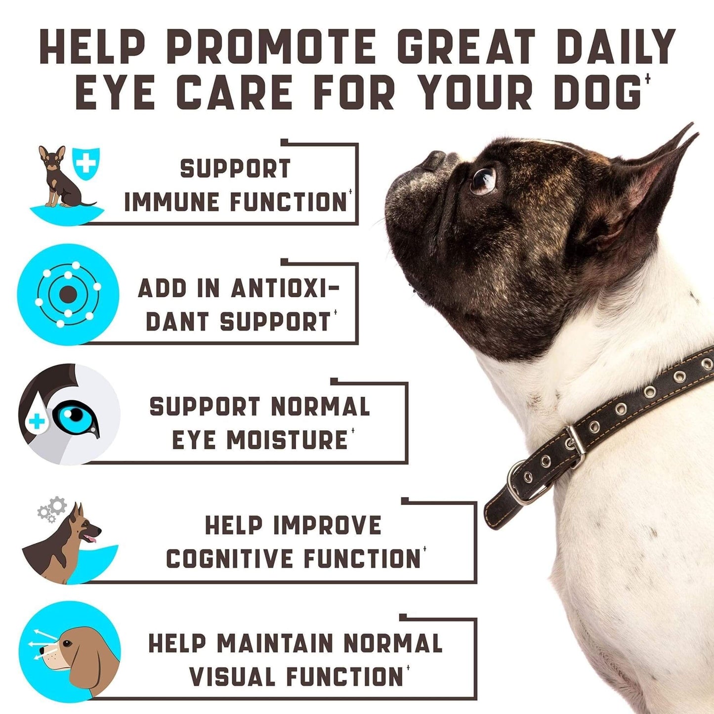 Dog Eye Vitamins for Tear Stains & Vision Support - Ferris Deals